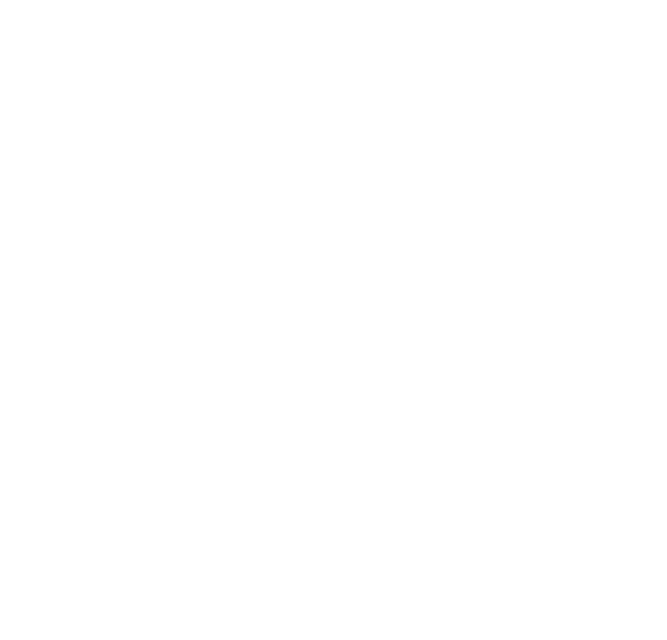 Safrica-2020-Final-Logo-05